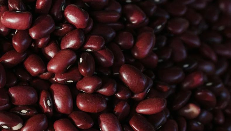 Con los fenómenos climáticos y las lluvias se desencadenaron pérdidas en la producción del grano de frijol en la cosecha 2024.