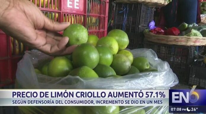 El precio del limón criollo sube un 57.1%, pasando de 7 a 11 centavos por unidad, según la Defensoría del Consumidor.