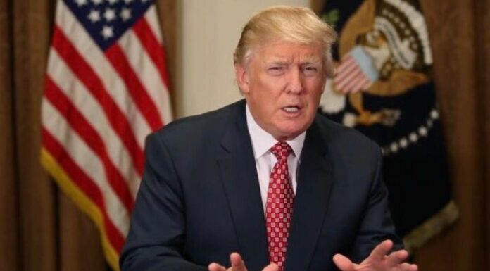 Trump asegura que Elon Musk ayudará a descubrir “cientos de miles de millones de dólares de fraude” contra las agencias del gobierno.