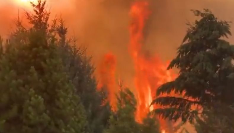Desde diciembre pasado se han registrado incendios forestales que han consumido miles de hectáreas de la Patagonia argentina.