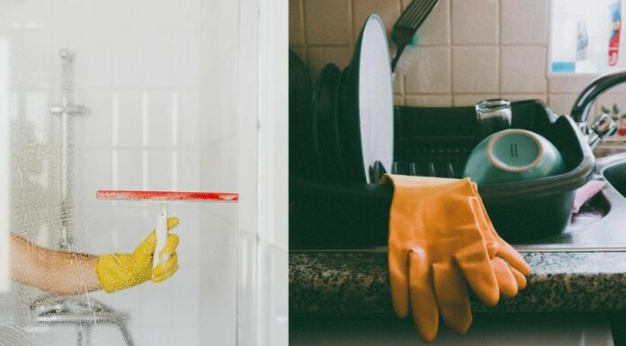 La falta de afiliación al ISSS sigue siendo una de las principales preocupaciones de las trabajadoras domésticas, mientras organizaciones piden cambios en la legislación.