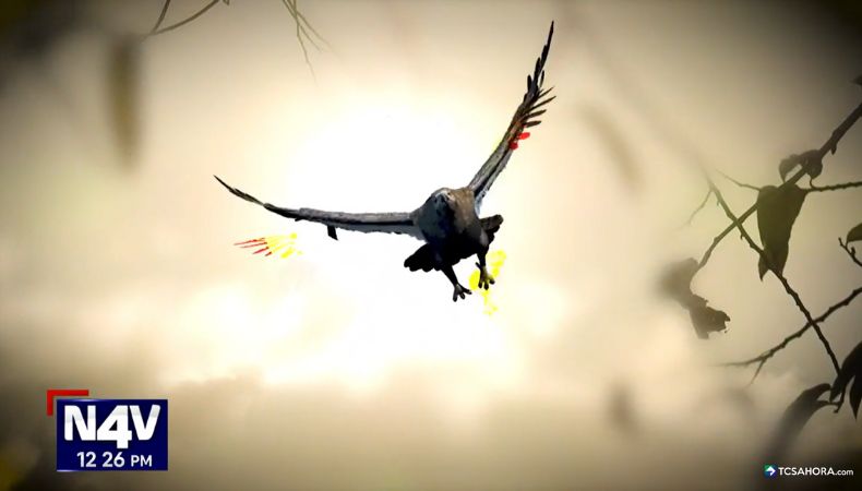 En zonas poco pobladas del país, varias personas aseguran haber sido testigos de la terrorífica presencia de “El Huachaco”