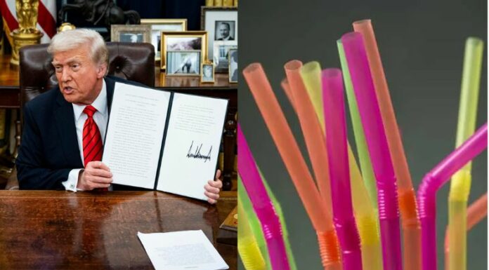 Trump dio un giro completo a las políticas de Biden contra los plásticos de un solo uso y revive el uso de las pajillas de plástico.