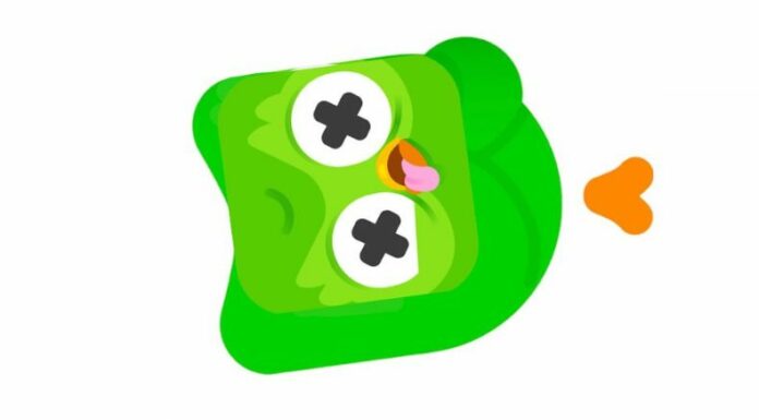Duolingo dio por 