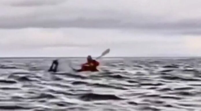 El hombre que se hizo viral tras ser tragado y luego expulsado por una ballena jorobada relató lo que vivió.