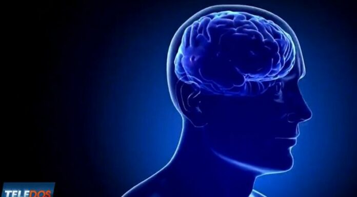 La epilepsia afecta a millones de personas en todo el mundo, sin distinción de edad, género o condición social.