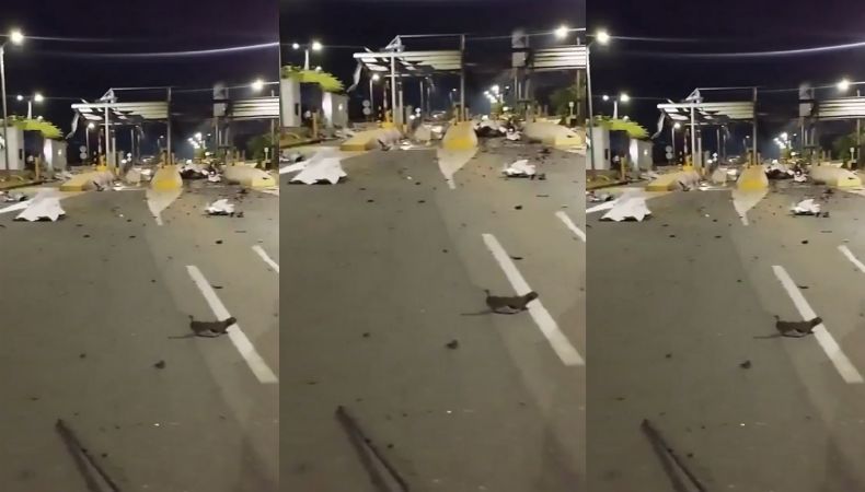 En horas de la noche del miércoles y madrugada de este jueves, las autoridades de Colombia reportan explosiones en Cúcuta y Popayán.