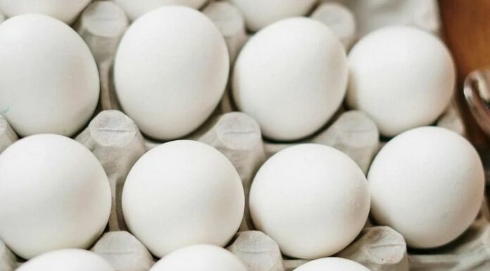 Los altos costos del precio de los huevos de gallina en Estados Unidos ha desencadenado el tráfico ilegal de huevos desde México.