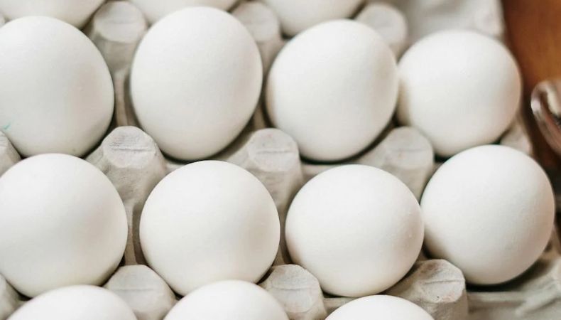 Los altos costos del precio de los huevos de gallina en Estados Unidos ha desencadenado el tráfico ilegal de huevos desde México.