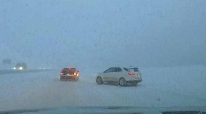 Un clima extremo se espera para este fin de semana en Florida, Estados Unidos. Los expertos advierten riesgos de hipotermia o congelamientos.
