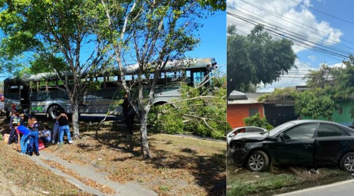 Del 1 de enero al 20 de febrero de 2025, se han registrado 2,573 accidentes, 1,588 personas lesionadas y 152 fallecidas, según Onasevi.