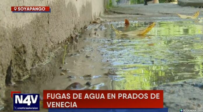 Tres grandes fugas de agua afectan los pasajes 1 y 3 de la Urbanización Prados de Venecia del distrito de Soyapango, en San Salvador Este.