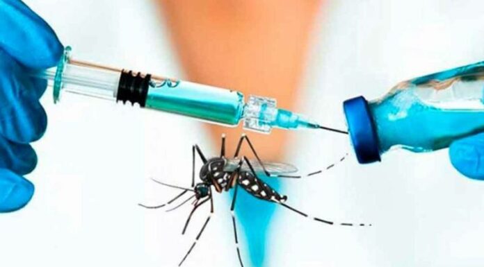 Solo en 2024, Brasil registró más de 6,000 muertes a causa del dengue, una cifra alarmante que resalta la gravedad de la situación sanitaria en ese país.