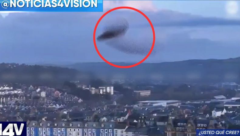En Reino Unido captaron una enorme sombra negra que se mueve por el cielo de una forma muy particular y extraña.