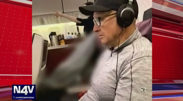 Una mujer falleció en pleno vuelo y su cuerpo permaneció en un asiento a la par de una pareja de australianos, quienes quedaron atónitos.