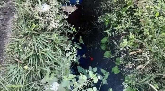 El cuerpo del hombre fue localizado en una cuneta a la orilla de la carretera, por lo que las autoridades iniciaron las investigaciones.