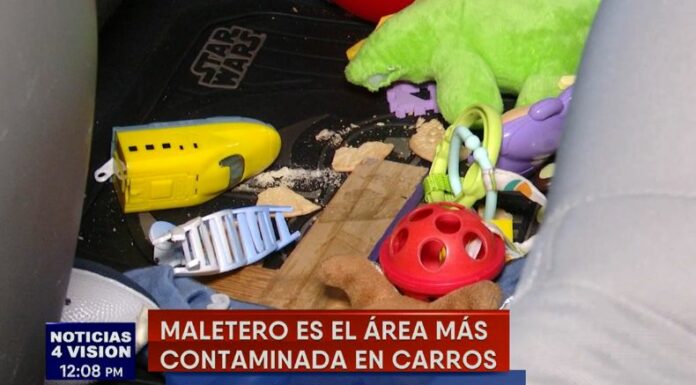 Un estudio elaborado por una universidad en Reino Unido reveló que dentro de los vehículos hay miles de bacterias.