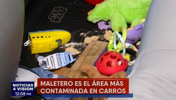 El interior de un vehículo tiene más bacterias ¡que un inodoro! Un estudio elaborado por una universidad en Reino Unido reveló que dentro de los vehículos hay miles de bacterias.