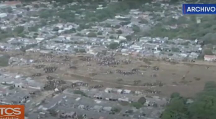 La Inteligencia Artificial (IA) se ha convertido en una herramienta fundamental para mejorar la respuesta y prevención de desastres naturales.