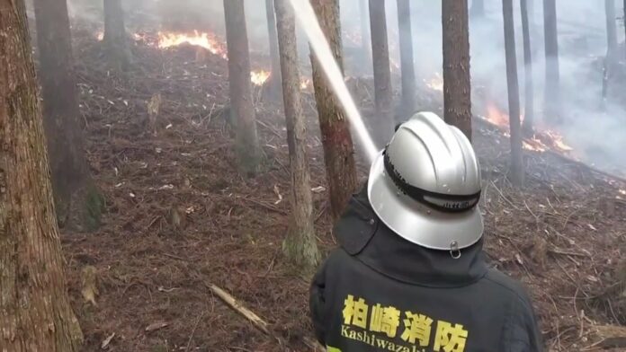 Japón enfrenta su peor incendio forestal en medio siglo Más de 2,000 bomberos continuaron este martes en las labores de extinción del fuego que ha dejado un fallecido, miles de hectáreas consumidas y cerca de 4,000 personas evacuadas.