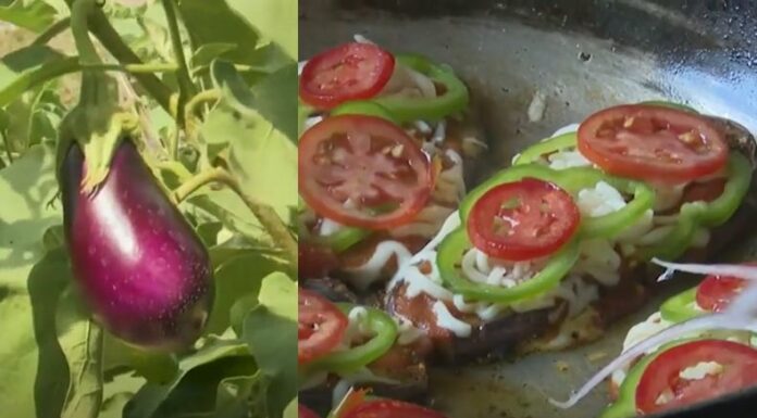 En Santa Cruz Analquito han creado una innovadora, deliciosa y saludable receta: ¡se trata de la pizza de berenjena!