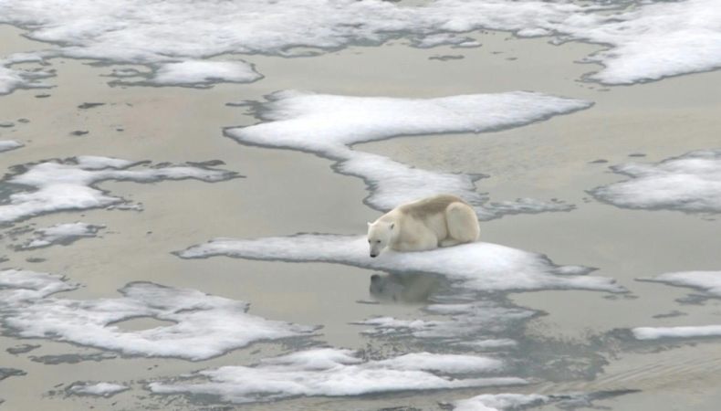 La cobertura de hielo marino global alcanzó mínimo histórico en febrero La disminución de la cobertura de hielo marino tiene graves impactos a lo largo del tiempo en el clima, indicó el Observatorio Copernicus.