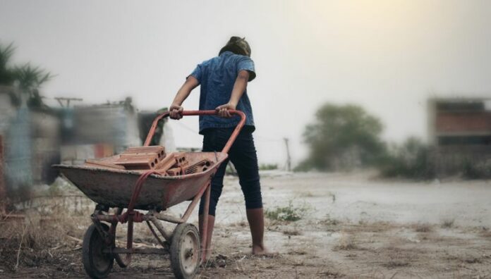 Regulaciones establecidas para el trabajo en menores de edad En El Salvador, existen diversas regulaciones que permiten el empleo en menores de edad bajo condiciones específicas.