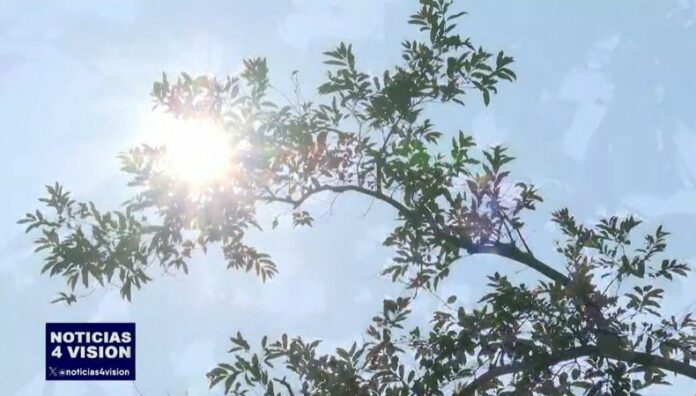 Golpes de calor ¿qué debemos hacer Las temperaturas en algunas zonas de El Salvador han alcanzado hasta los 39 °C, por lo que es importante prevenir golpes de calor.