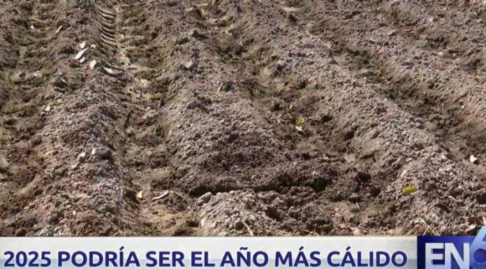 Las altas temperaturas o posibles golpes de calor en el país podrían provocar efectos negativos en la agricultura.