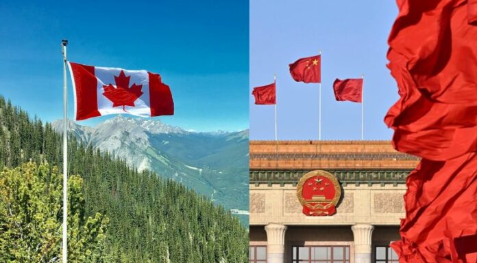 China impondrá aranceles a productos agrícolas de Canadá, como el aceite de colza y la carne de cerdo, en respuesta a los gravámenes canadienses sobre los autos eléctricos chinos.