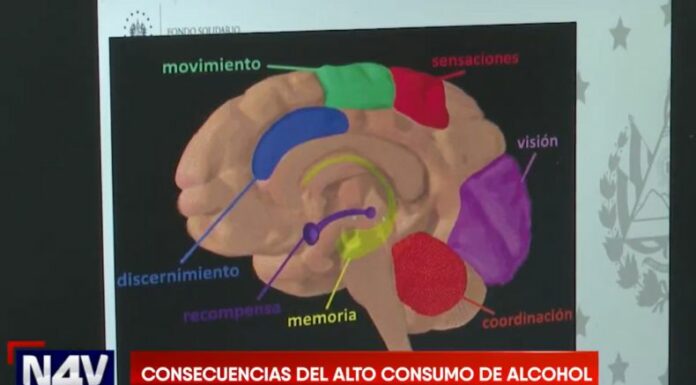 Esta semana dos motoristas fueron encontrados con más de 500 grados de alcohol en sangre, cantidad que pudo haber terminado con su vida.