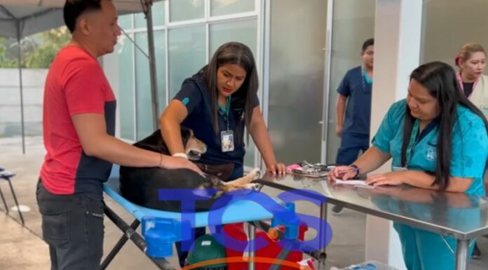 Desde hoy, la veterinaria estatal Chivo Pets seguirá brindando todos sus servicios al mismo costo.