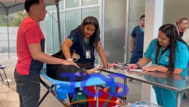 Desde hoy, la veterinaria estatal Chivo Pets seguirá brindando todos sus servicios al mismo costo.