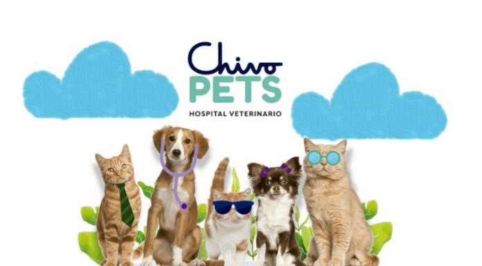 Las consultas veterinarias en el hospital Chivo Pets cuestan $0.25 y se pagan con la Chivo Wallet o con cualquier billetera electrónica