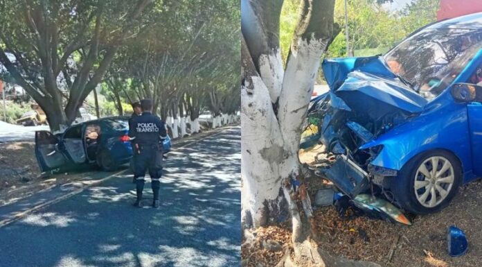 Una mujer murió en un aparatoso accidente vial registrado en la carretera Panamericana, distrito de San Martín.
