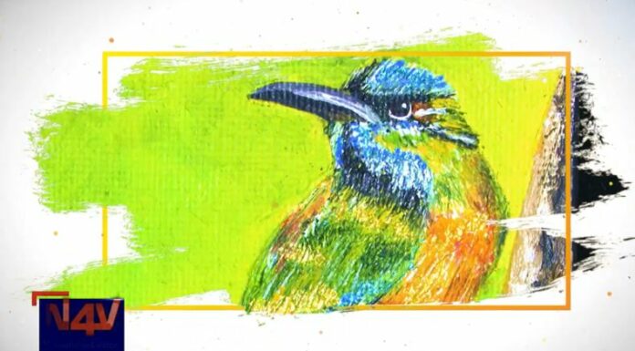 Un talento único refleja la exposición de mini pinturas en Santa Ana, denominada: 