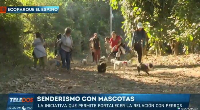 El senderismo con mascotas refuerza el vínculo entre dueño y perro, al tiempo que fomenta la salud y el disfrute de la naturaleza.