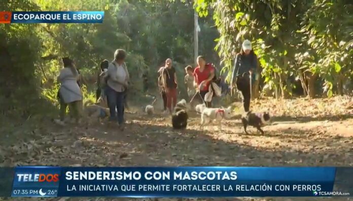 El senderismo con mascotas refuerza el vínculo entre dueño y perro, al tiempo que fomenta la salud y el disfrute de la naturaleza.