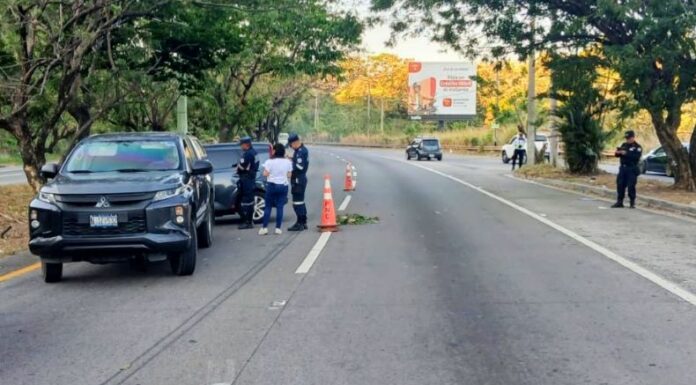 El siniestro vial ocurrió en el kilómetro 23 ½ de la carretera al Aeropuerto Internacional, en el distrito de Olocuilta, municipio de La Paz Oeste.
