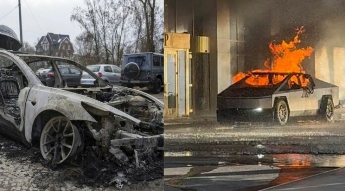 Presidente Trump califica como “terroristas desquiciados” a quienes queman carros Tesla del magnate Elon Musk y amenaza con enviarlos a cárceles de El Salvador