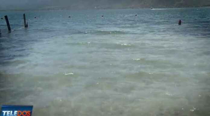 Los niveles de contaminación por la presencia de cianobacterias en el lago de Coatepeque han incrementado desde el inicio de este mes.