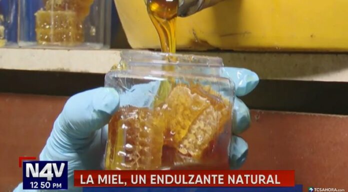 La miel es un producto que ha gozado de buena reputación, no sólo por sus beneficios alimenticios, sino también por sus usos en la medicina natural.