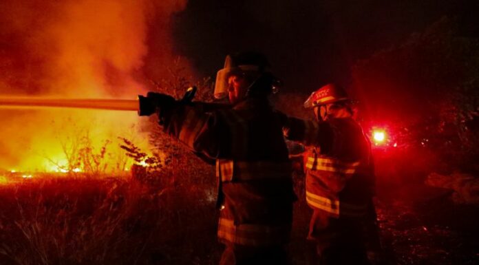 En El Salvador, los primeros meses del año suelen ser los más calurosos, lo que genera un incremento en los incendios forestales.