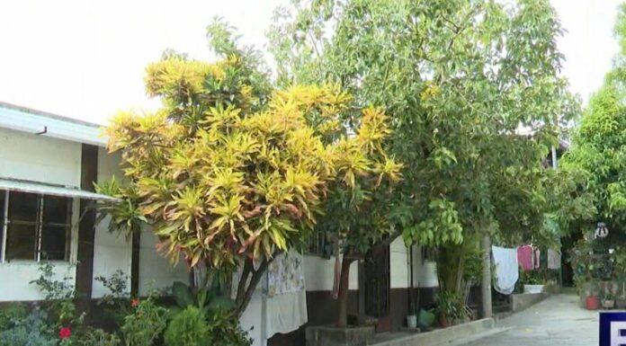 El cambio climático y las altas temperaturas son una realidad y su impacto afecta la soberanía alimentaria.