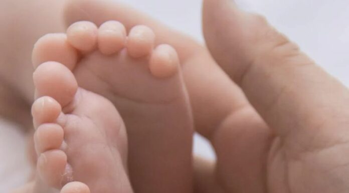 La leche materna es esencial para el crecimiento de un bebé, pero su práctica está rodeada de mitos y desconocimiento.