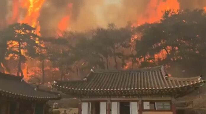 Este martes, los incendios forestales continuaron extendiéndose por quinto día consecutivo en el sureste de Corea del Sur.