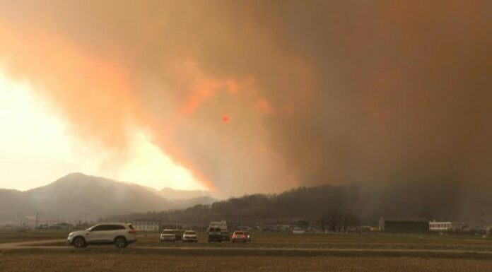 Más de 20 personas murieron, incluido un bombero cuyo helicóptero se estrelló, por los graves incendios forestales en Corea del Sur.
