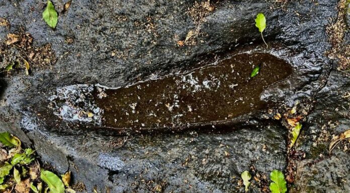 En Cuyagualo, Izalco, hay un sitio que esconde un sinfín de misterios y una supuesta lucha entre el bien y el mal: “el rastro del diablo”.