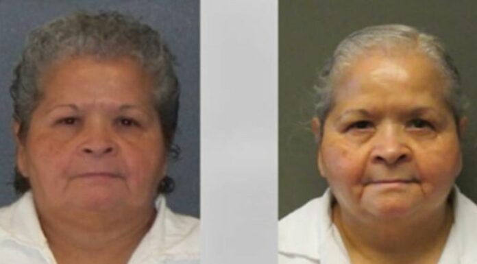 La Junta de Indultos y Libertad Condicional de Texas rechazó la solicitud presentada por Yolanda Saldívar, quien cumple cadena perpetua por el asesinato de Selena Quintanilla. La familia de la artista agradeció la decisión y reafirmó su compromiso con preservar su legado.