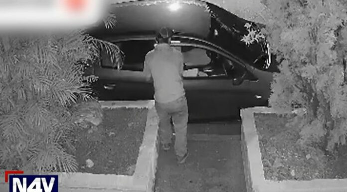 A plena luz del día o en la oscuridad de la noche, los delincuentes se dedican a hurtar en vehículos. ¿Ha sido víctima?